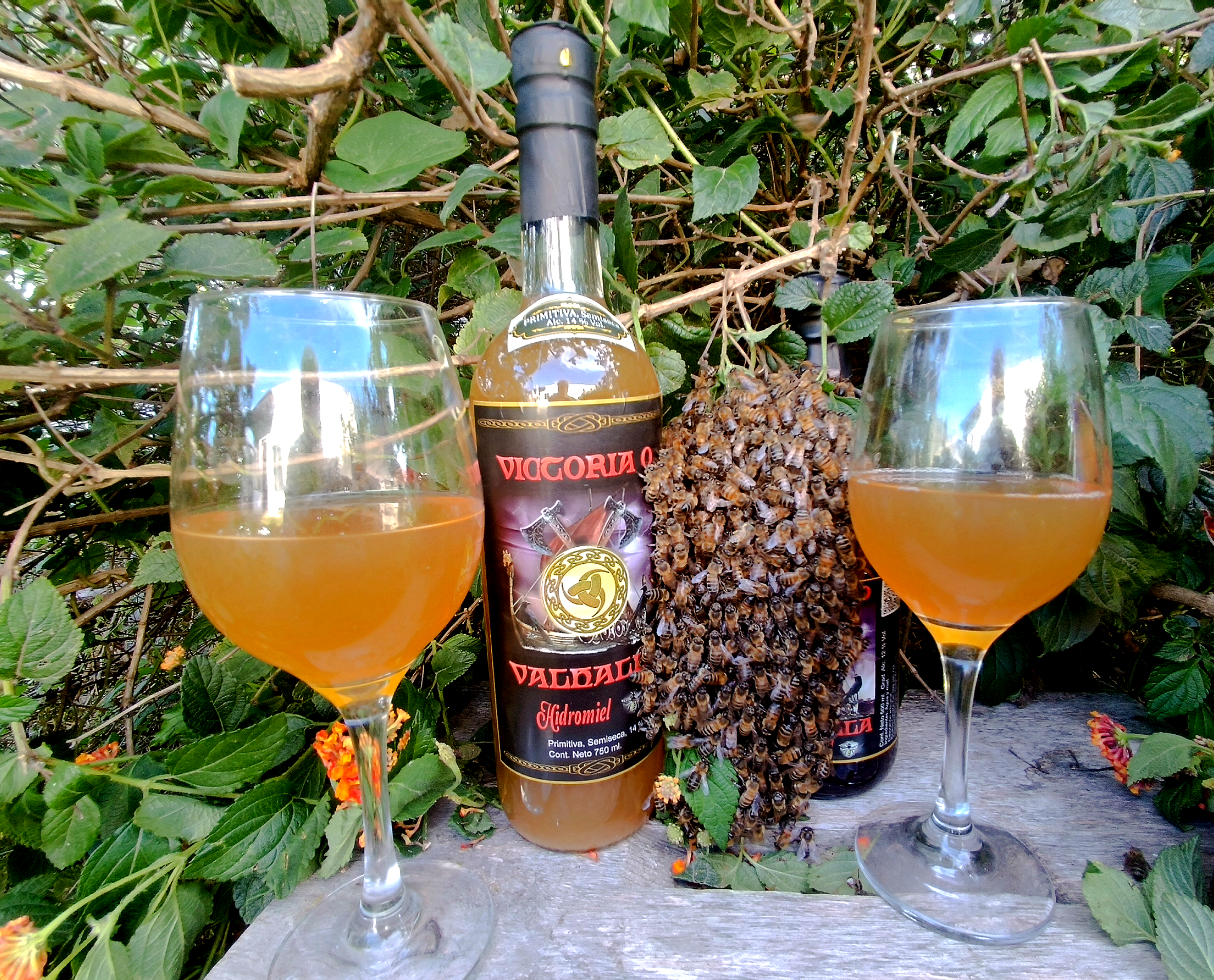 Hidromiel: la primera bebida fermentada de la humanidad | Historia y origen ancestral